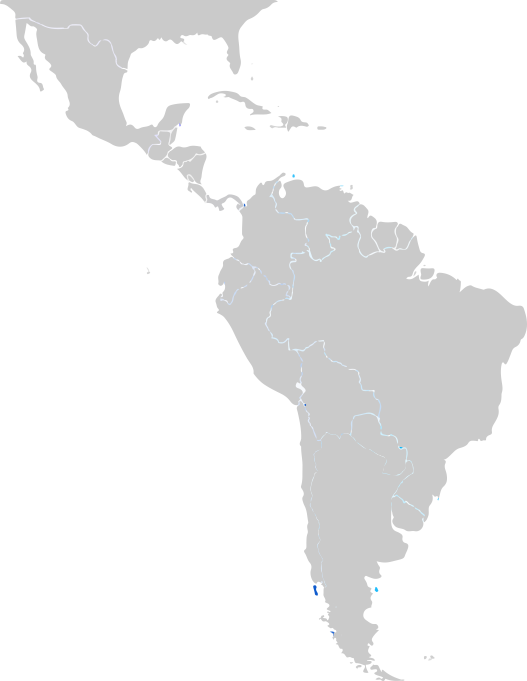 Directa Consultores